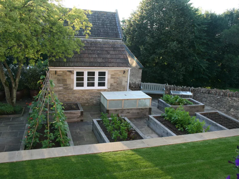Four large raised beds containing a variety of vegetables